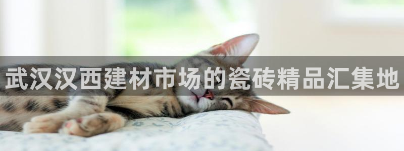 杏鑫娱乐多少年了