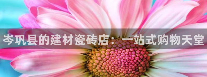 杏鑫官网最新信息新闻报道