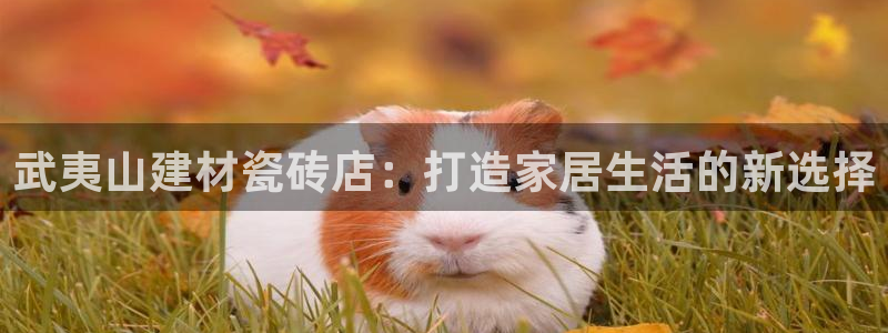 杏鑫招商总代