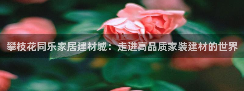 杏鑫娱乐是合法的吗是真的吗