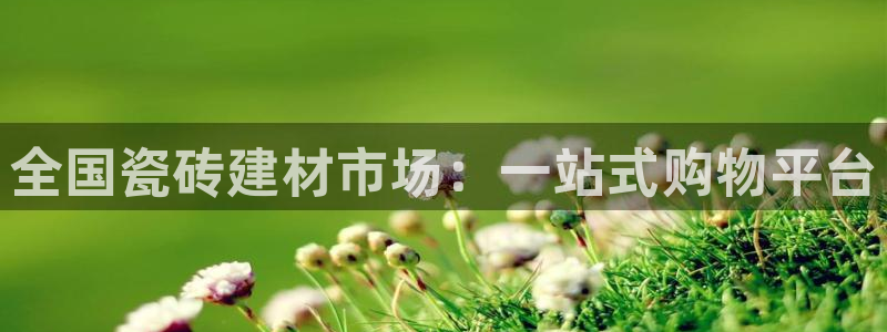 杏鑫娱乐负责人